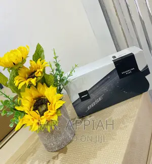 Classic Bose Sound Flex Bluetooth Rechargeable Speaker