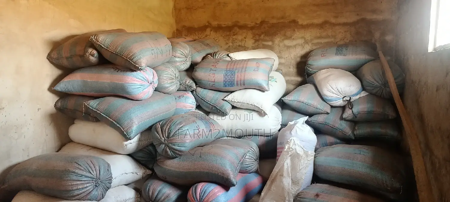 Soya Bean 100kg
