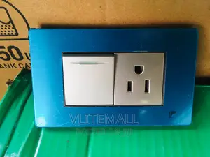 110 Single Socket With Switch - LP