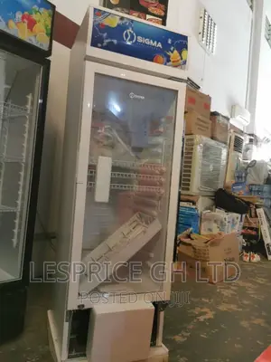 Something Big!! Sigma 234L Display Fridge