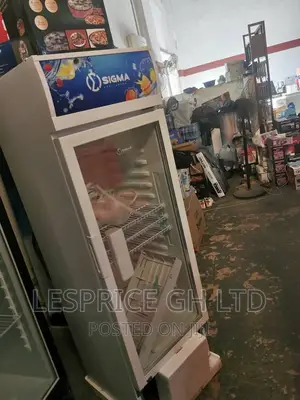 Sigma 243L Single Door Display.Fridge
