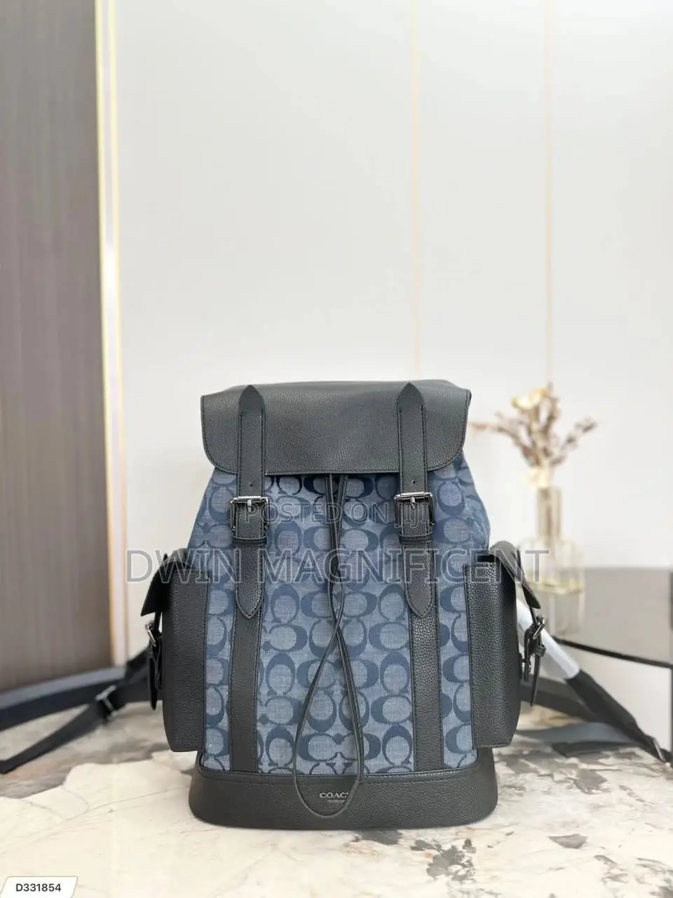 Coach/ Dior /Louis Vuitton and Gucci Backpack