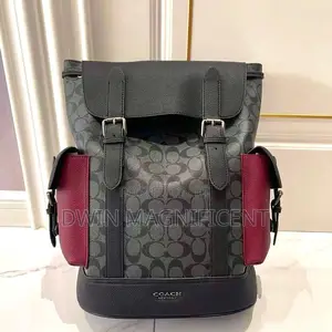 Coach/ Dior /Louis Vuitton and Gucci Backpack
