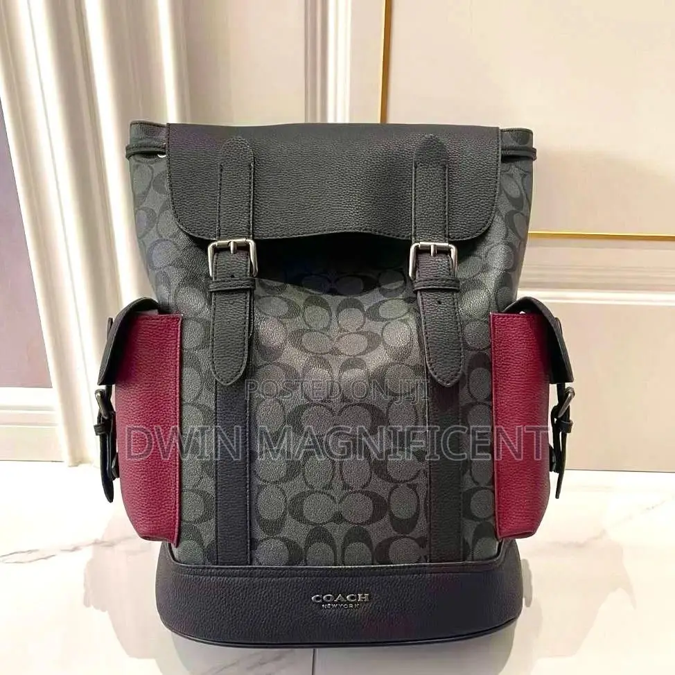 Coach/ Dior /Louis Vuitton and Gucci Backpack