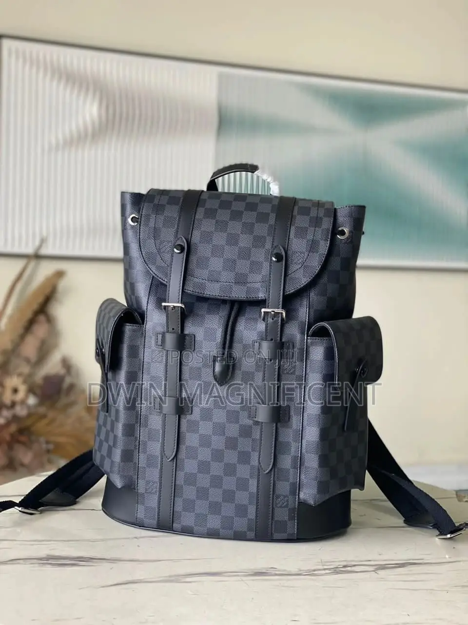 Coach/ Dior /Louis Vuitton and Gucci Backpack