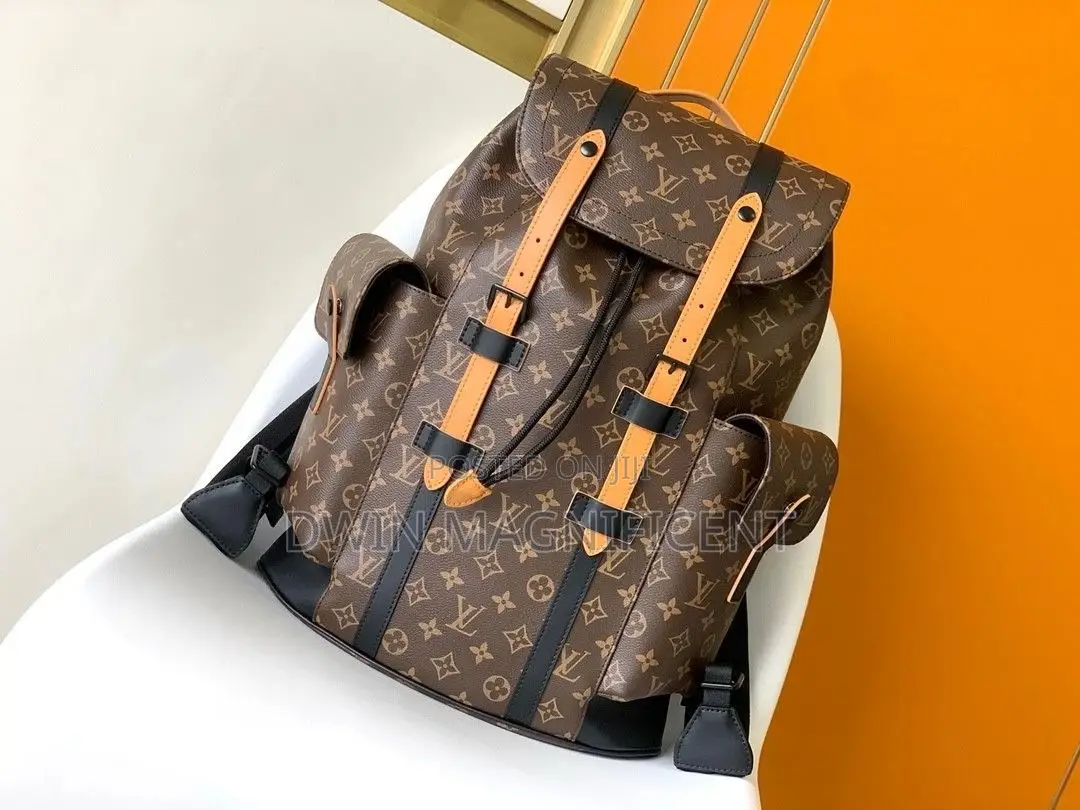 Coach/ Dior /Louis Vuitton and Gucci Backpack