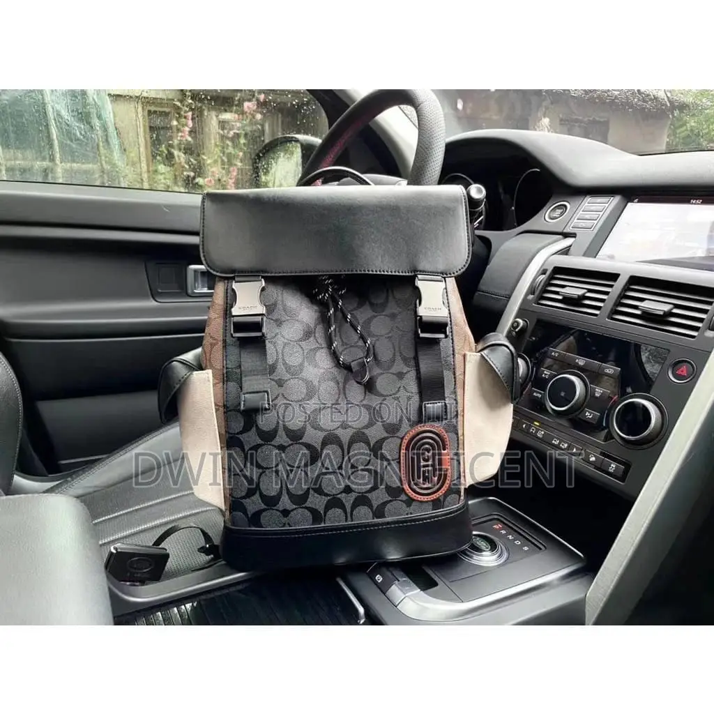 Coach/ Dior /Louis Vuitton and Gucci Backpack