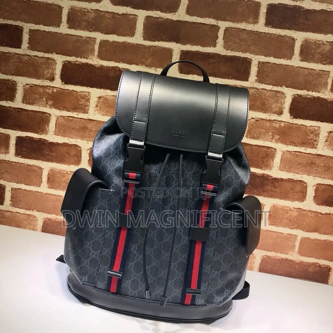 Coach/ Dior /Louis Vuitton and Gucci Backpack