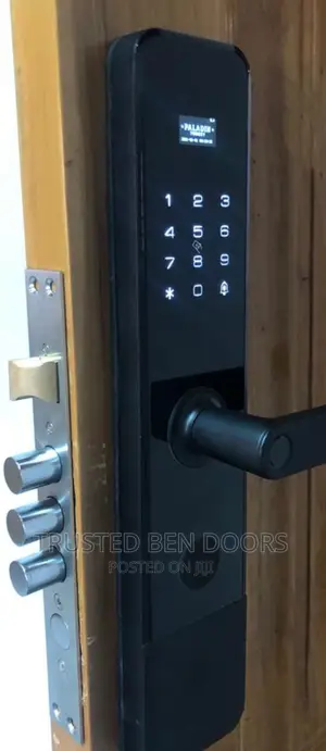 Authentic Turkish Paladin Smart Locks for Homes and Offices