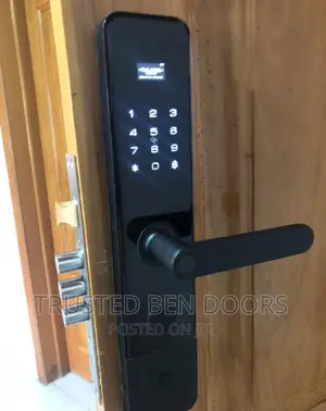 Quality Paladin Turkey Smart Locks for Security/Wooden Doors