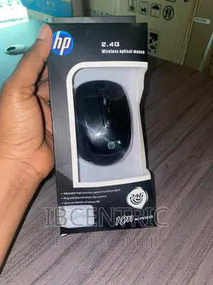 HP 2.4G Wireless Optical Mouse