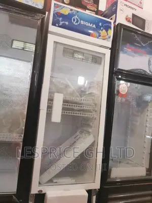 Solid Glass Door Sigma 243L Display