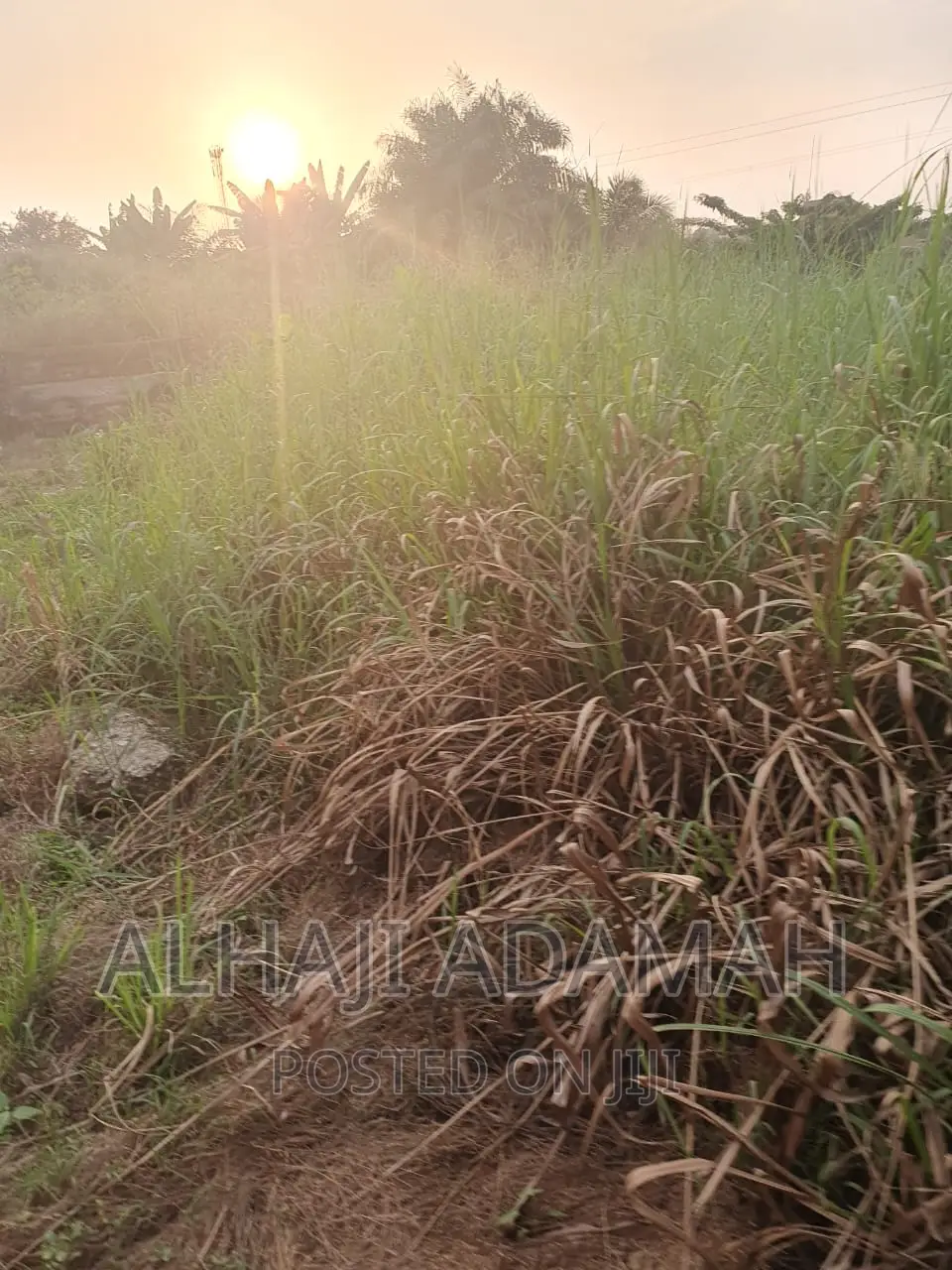 Land for Sale at Brofoyedro Adumasa