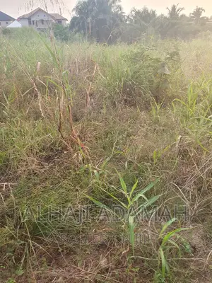 Land for Sale at Brofoyedro Adumasa