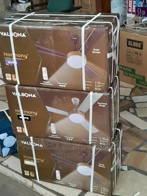Valbona Design Ceiling Fan With Remote Control and Light 56"