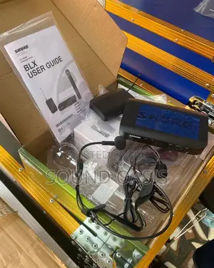 Shure Head/Tie Lapel Single Microphone (Pga 31)
