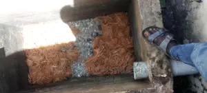 Biofil Digester Installation