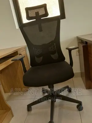 Ergonomic Chair