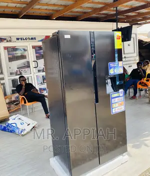 Fast Cooling Nasco Side by Side Electric Fridge(Nassb2-64s)