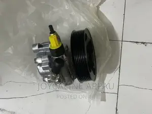 Power Steering Pump Original Germany and Korea Standard