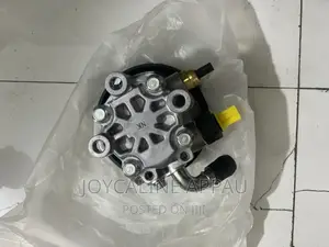 Power Steering Pump Original Germany and Korea Standard