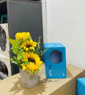 Shop Authentic Echo Dot Portable Bluetooth Speaker.