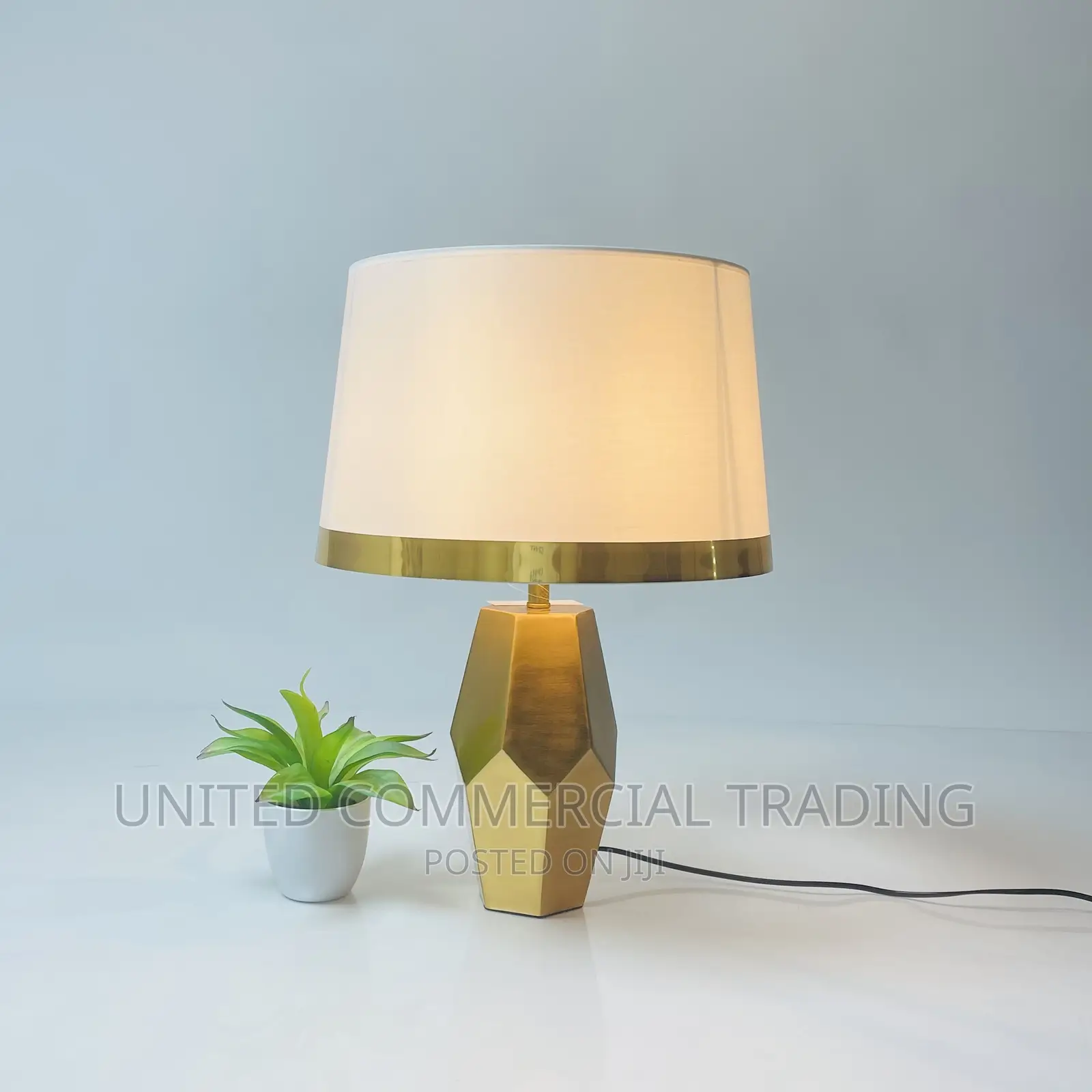 Table/Bedside Lamp