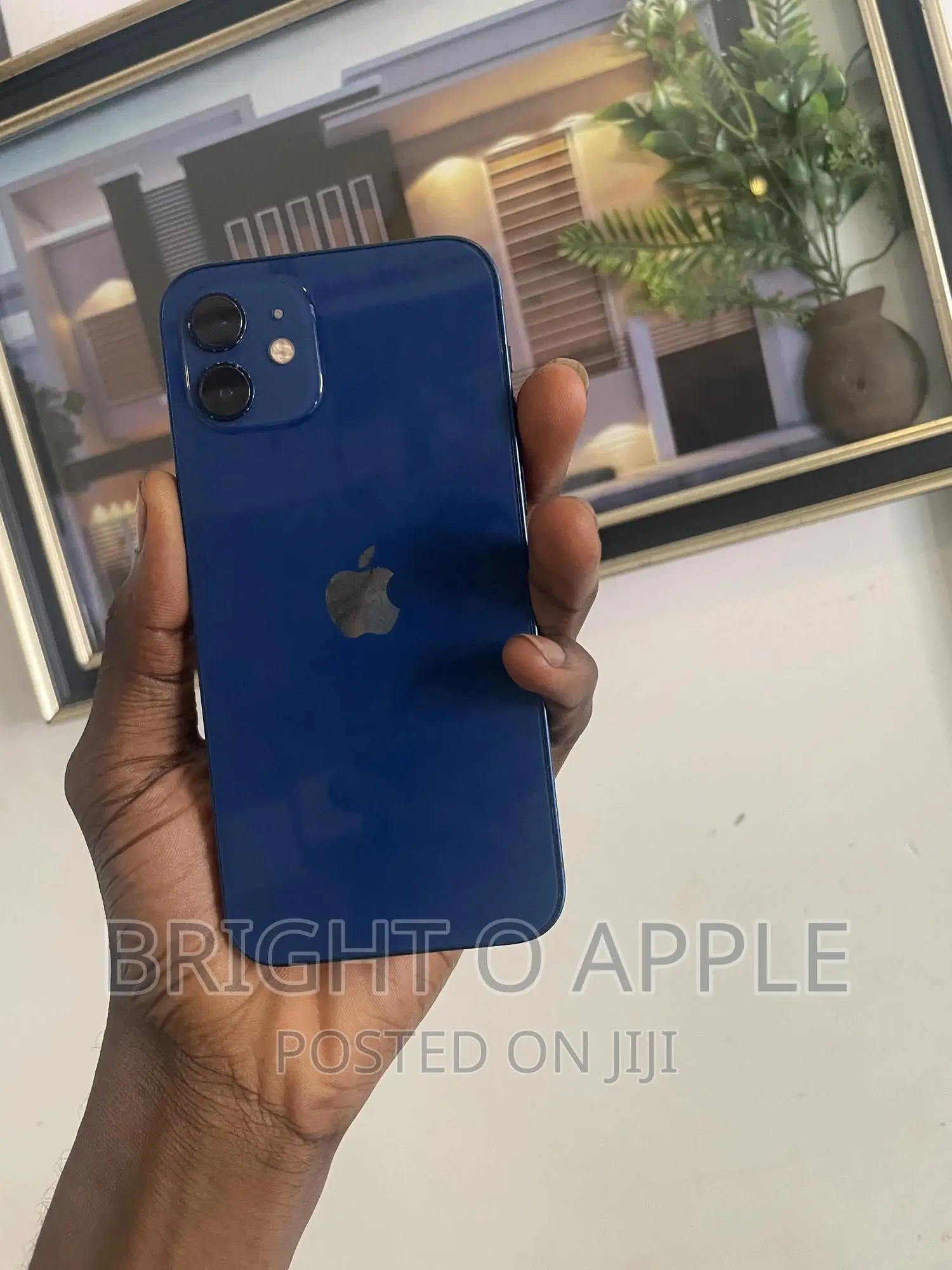 Apple iPhone 12 64 GB Blue