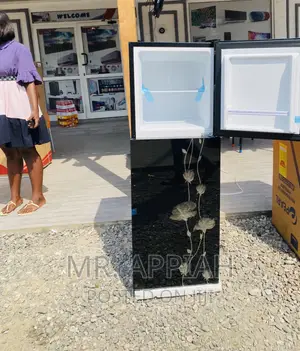 Energy Sufficient Pearl 2 Door Electric Fridge(Pf 217t-2b)