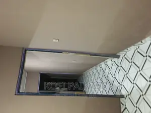 Professional Painters