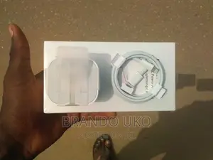 50w Lightning to Type C Original Charger
