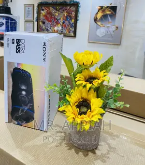 Xb 33 Sony(Black)Bluetooth Speaker 