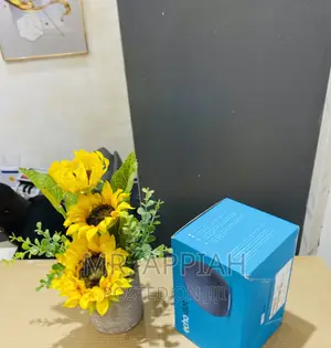 Get Best Price for Echo Dot Portable Bluetooth Speaker.