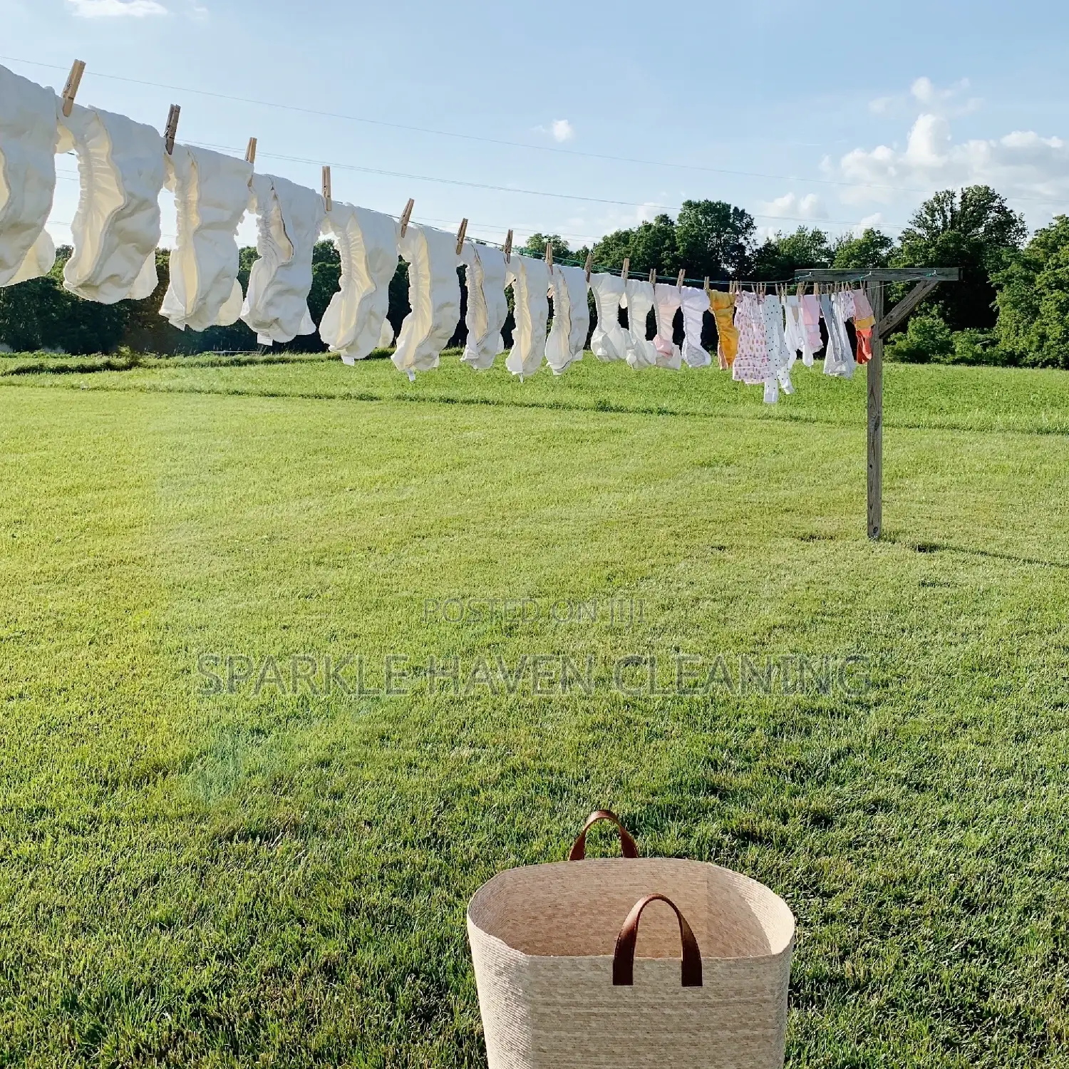 Door-to-Door Laundry and Home Cleaning Services.
