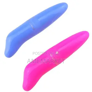 Powerful Dolphin Mini Vibrator