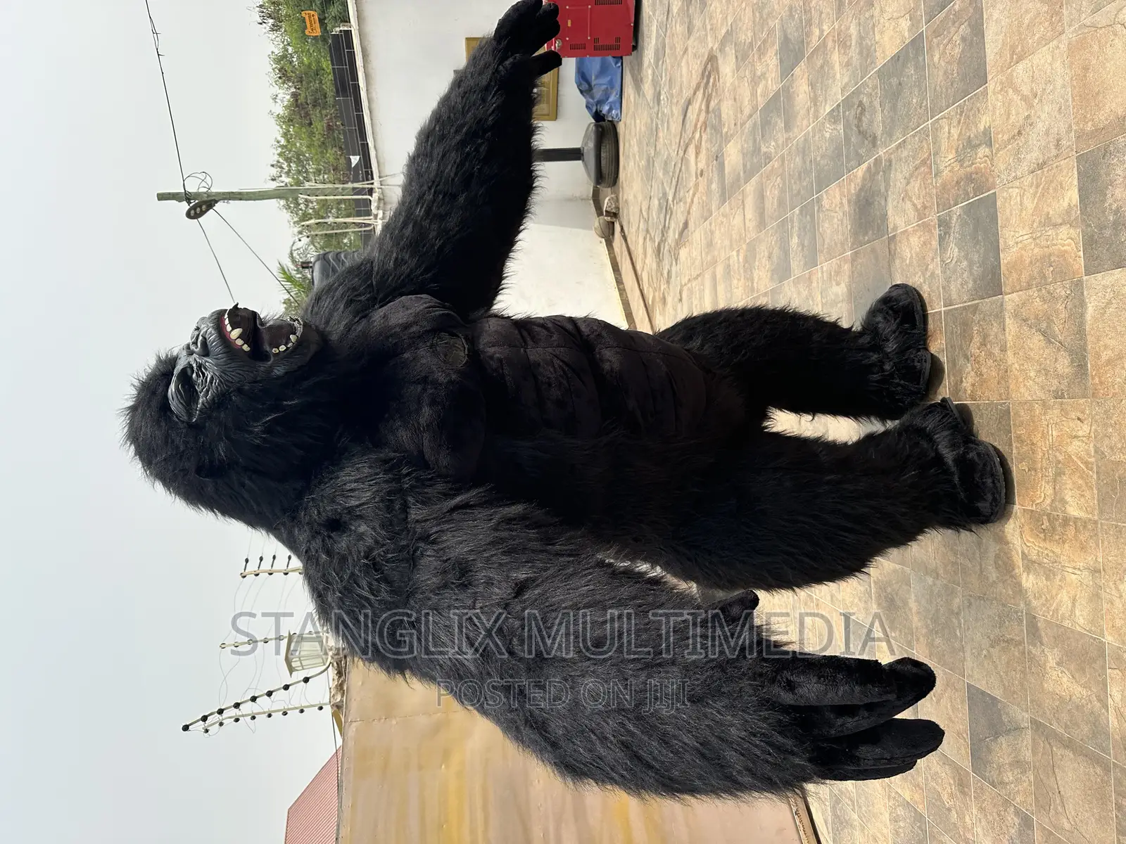 Gorrila Outfit