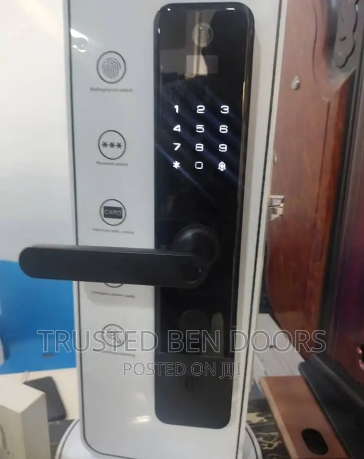 Classic Paladin Biometric Smart Lock With Camera for Doors
