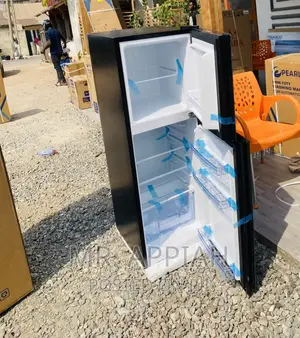 Fast Cooling Pearl 2 Door Electric Fridge(Pf 217t-2B)Mirror