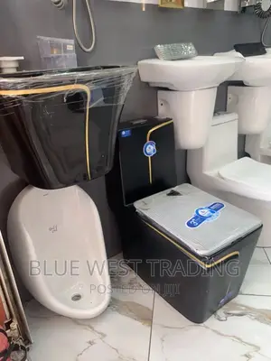 Black Master Bedroom Water Closet and Wall Hung Basin