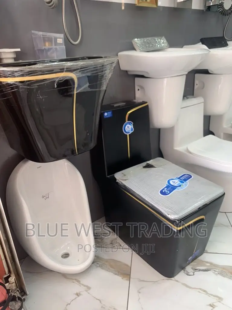 Black Master Bedroom Water Closet and Wall Hung Basin