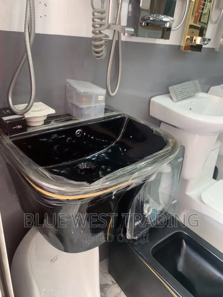 Black Master Bedroom Water Closet and Wall Hung Basin