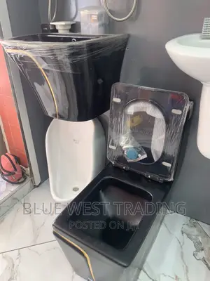 Black Master Bedroom Water Closet and Wall Hung Basin