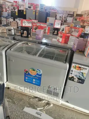 Delron 258L Showcase Freezer