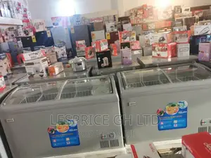 High Efficiency Delron 258L Display Freezer