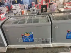 Delron 258L Deep Cooling Freezer