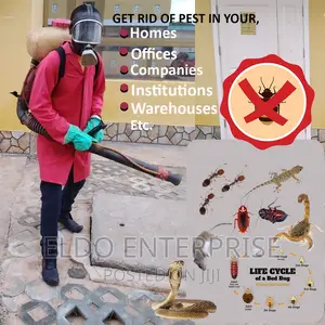 Fumigation (Pest Control) Service