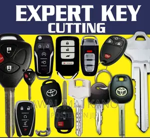 Expect in Key Cutting and Programming
