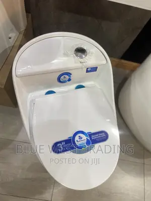 White Egg Shaped Water Closet