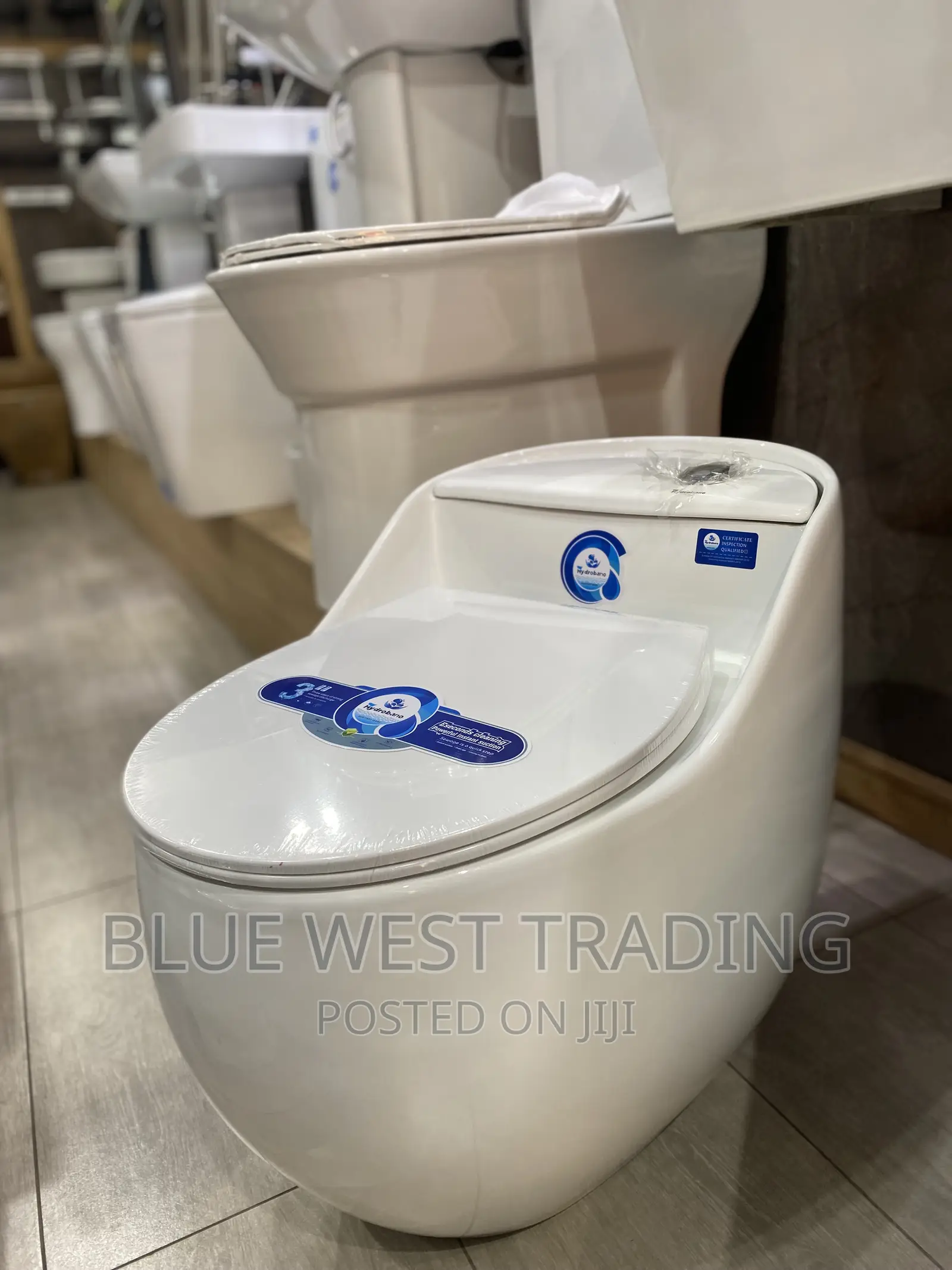 White Egg Shaped Water Closet