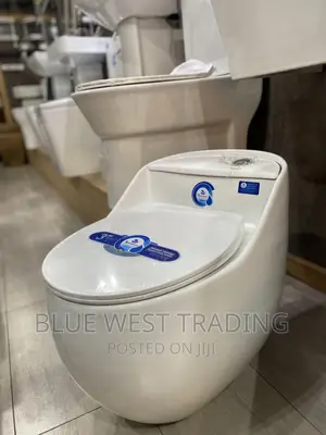 White Egg Shaped Water Closet